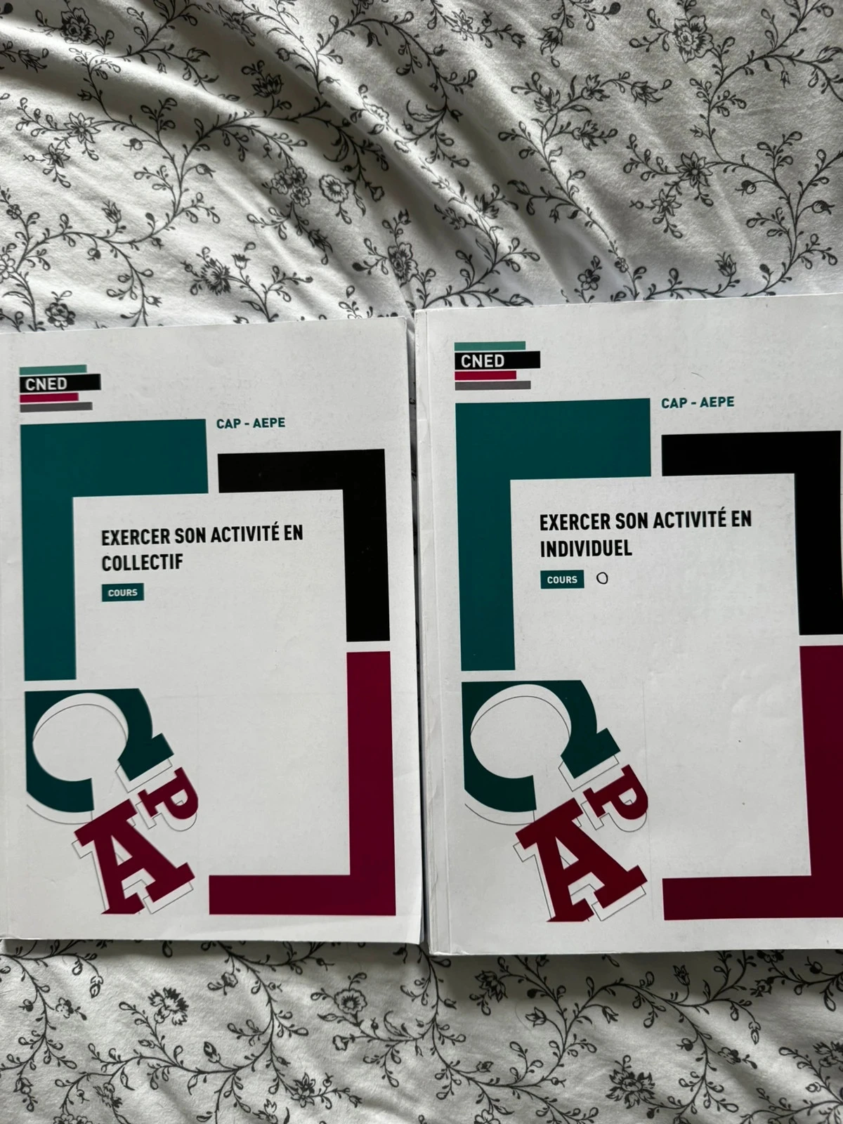 Lot complet de cours CNED – Cap aepe + Préparation Concours Atsem 📚 – photo 3